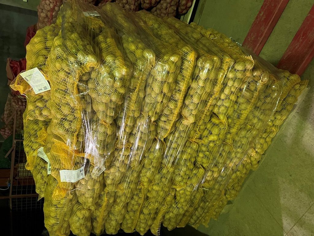Tehnologija proizvodnje semenskog krompira